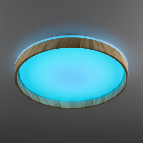 Citilux ENZO CL753452G LED RGB Светильник с пультом Клён фото 5 Citilux ENZO CL753452G LED RGB Светильник с пультом Клён фото 5