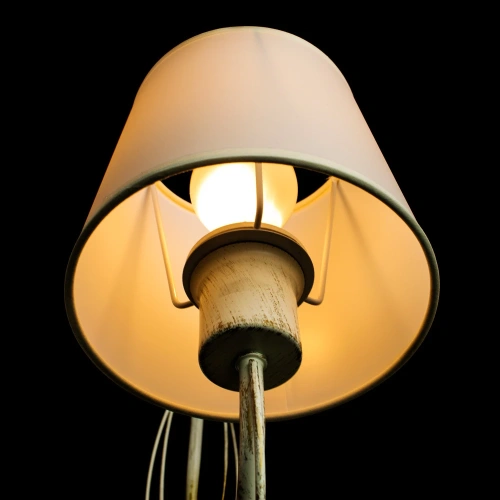 Подвесная люстра Arte Lamp ORLEAN A9310LM-8WG фото 4