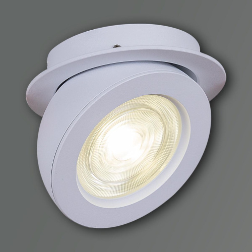 Спот Reluce 84053-9.0-001QR COB10W WT фото 5