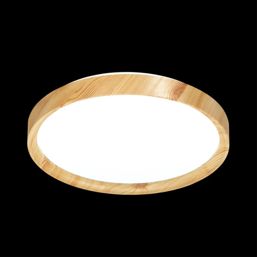 3019/DL TAN SN 175 Светильник пластик/под дер. LED 48Вт 3000-6300 D390 IP43 пульт ДУ/ LampSmart WOODI фото 5 3019/DL TAN SN 175 Светильник пластик/под дер. LED 48Вт 3000-6300 D390 IP43 пульт ДУ/ LampSmart WOODI фото 5