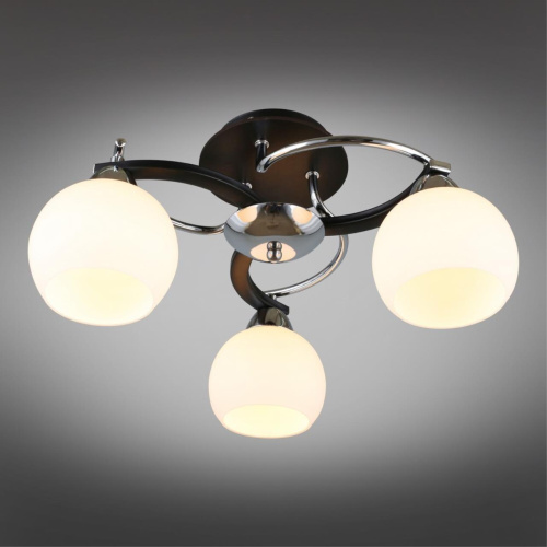 Люстра потолочная OML-25407-03 фото 3