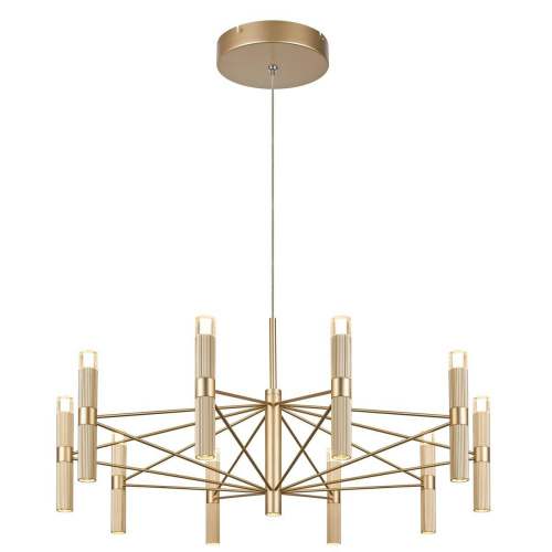 Подвесная светодиодная люстра Favourite Blick 4759-10P Подвесная светодиодная люстра Favourite Blick 4759-10P