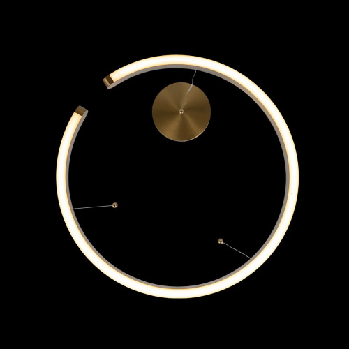 10013L Подвесной светильник LOFT IT Ring фото 3