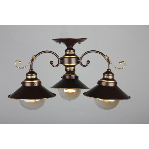 Люстра потолочная OML-50407-03 фото 2