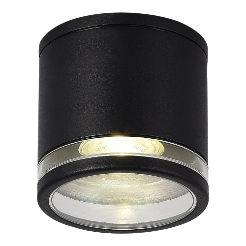 SL9009.402.01 Светильник уличный потолочный ST-Luce черный/белый GU10 1*50W TUBO SL9009.402.01 Светильник уличный потолочный ST-Luce черный/белый GU10 1*50W TUBO
