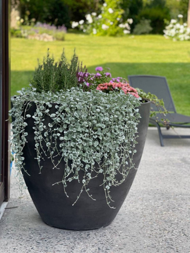 Кашпо UPON SAHARA фото 4 Кашпо UPON SAHARA фото 4