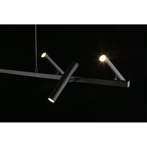 Люстра подвесная APL.067.03.30 фото 11 Люстра подвесная APL.067.03.30 фото 11