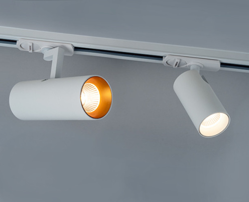 Ring for 15W gold кольцо для светильника фото 2