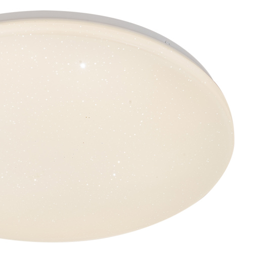 Потолочный светильник Escada 10216/SG LED*40W White APP фото 4