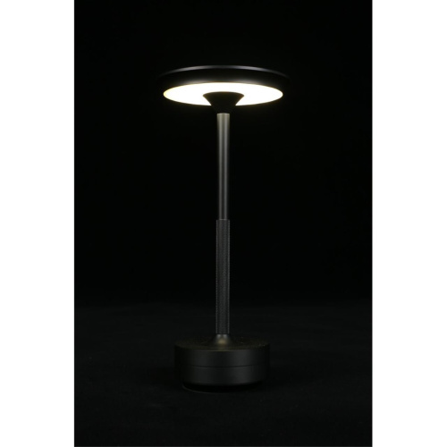 Настольная лампа APL.064.24.05 фото 11