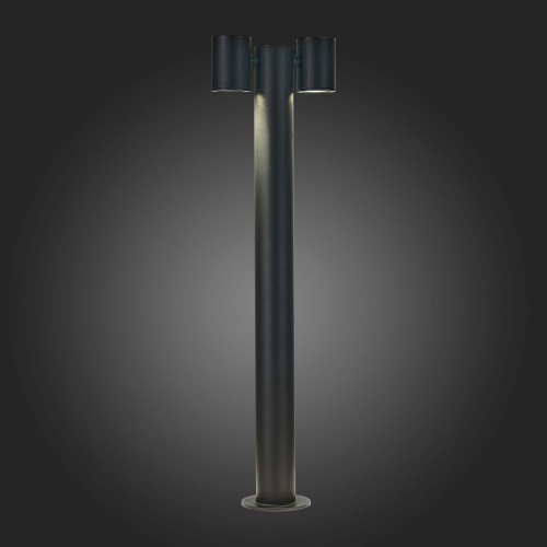 SL9003.405.02 Светильник уличный наземный ST-Luce Черный GU10 2*35W VISIONI фото 8