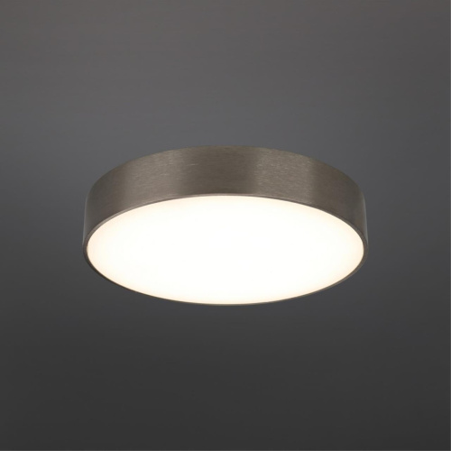 Светильник настенно-потолочный APL.0114.19.24 фото 3