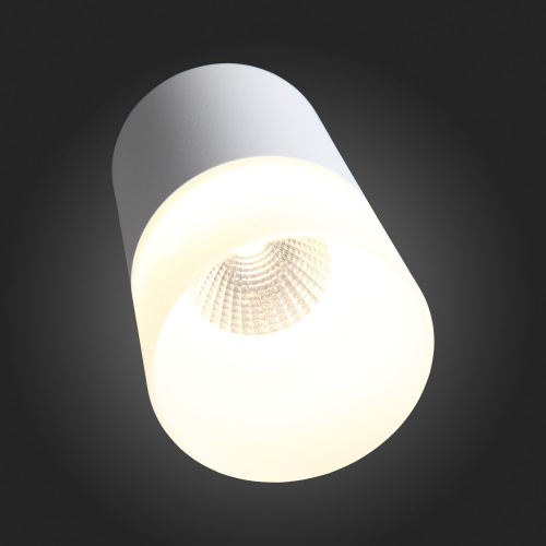 ST100.502.10 Светильник потолочный Белый LED 1*10W 3000K 780Lm Ra>80 120° D78xH135 170-240V Накладные светильники фото 3