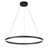 Подвесной светильник 14001/1P Black