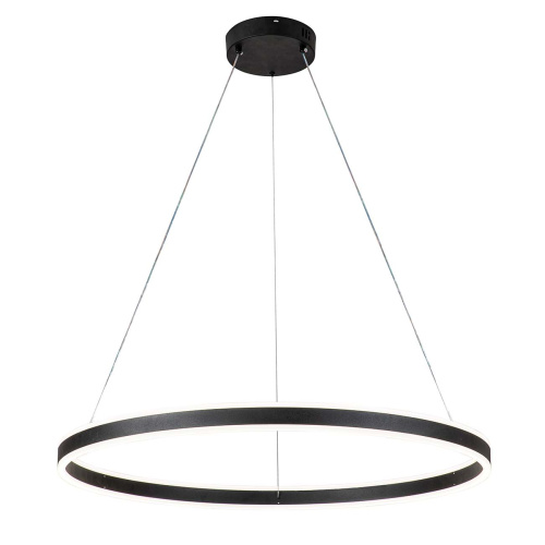 Подвесной светильник 14001/1P Black Подвесной светильник 14001/1P Black