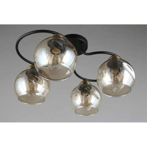 Люстра потолочная OML-95007-04 фото 7 Люстра потолочная OML-95007-04 фото 7