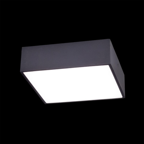 Citilux Тао CL712X122N LED Светильник потолочный с диммером Чёрный фото 2 Citilux Тао CL712X122N LED Светильник потолочный с диммером Чёрный фото 2