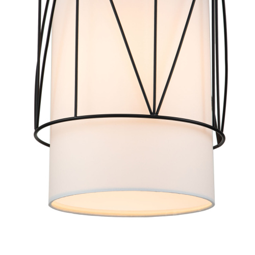 Подвесной светильник 13016/1P Black фото 3 Подвесной светильник 13016/1P Black фото 3