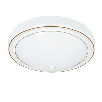 Потолочный светильник Arte Lamp JAMES A4049PL-3WH