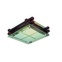 Светильник настенно-потолочный OML-40507-02