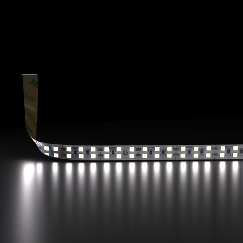 Светодиодная лента 240 LED 18 Вт IP20 двухрядная 6500К холодный белый 2835 24V 240Led 18W IP20 фото 2 Светодиодная лента 240 LED 18 Вт IP20 двухрядная 6500К холодный белый 2835 24V 240Led 18W IP20 фото 2
