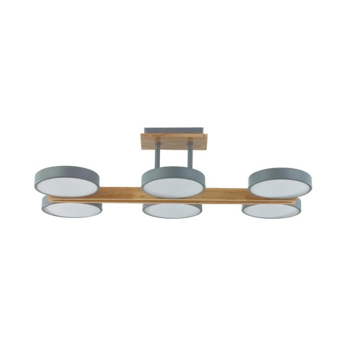 Потолочная светодиодная люстра Lumion Plato Ledio 8031/108CL Потолочная светодиодная люстра Lumion Plato Ledio 8031/108CL