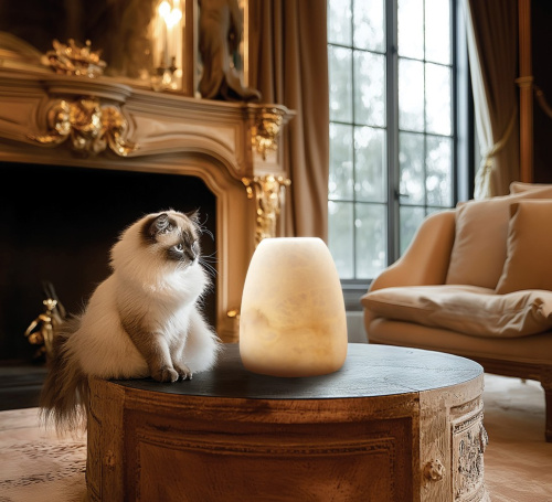 Настольная лампа Magia FL1036-3T фото 8 Настольная лампа Magia FL1036-3T фото 8