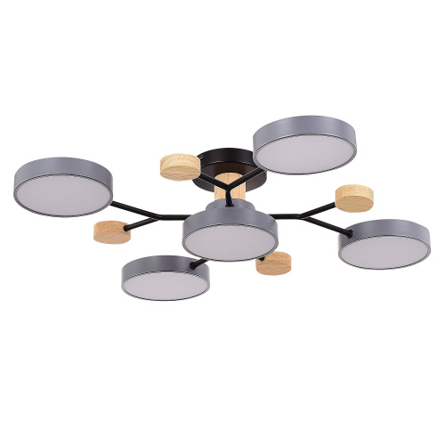 SLE6006-702-05 Светильник потолочный Серый/Серый LED 5*12W 3000K/4500K/6000K FAEMA фото 6