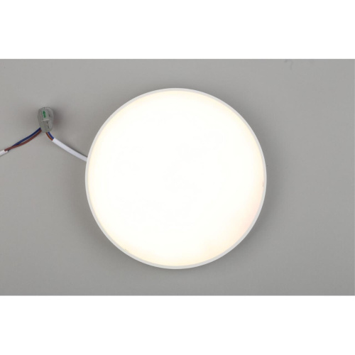 Светильник настенно-потолочный APL.0113.09.24 фото 7 Светильник настенно-потолочный APL.0113.09.24 фото 7