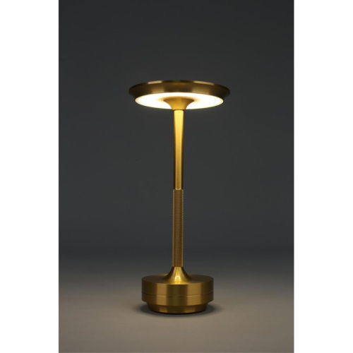 Настольная лампа OML-40414-01 фото 6