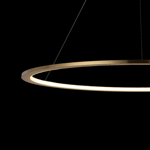 10014XL Подвесной светильник LOFT IT Ring фото 5