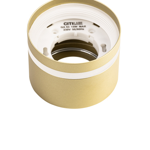 Citilux Hardy CL002C12 Светильник накладной Золото фото 8 Citilux Hardy CL002C12 Светильник накладной Золото фото 8