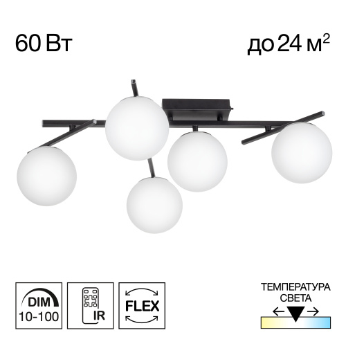 Citilux DORSY CL223152 LED Люстра поворотная Чёрная Citilux DORSY CL223152 LED Люстра поворотная Чёрная