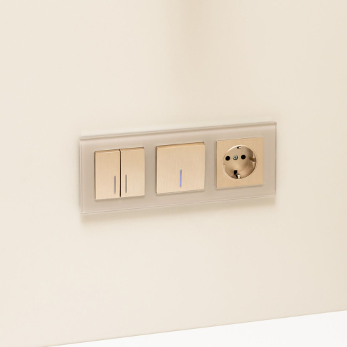 Выключатель одноклавишный с подсветкой (шампань рифленый) W1110110 фото 6