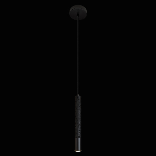 10583C Black Подвесной светильник LOFT IT Everest фото 3