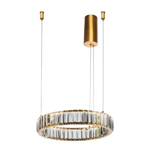 Подвесная люстра Divinare RENATA 1135/17 SP-25
