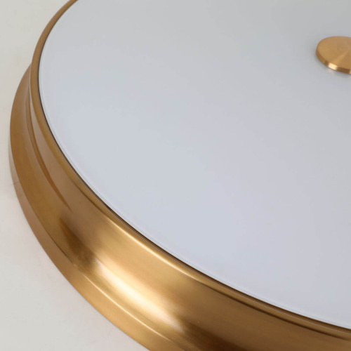 Потолочный светильник Favourite Pannikin 2375-5C фото 3