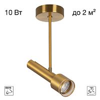 Citilux VEKTOR CL51322_BF Потолочный светильник на штанге Латунь 20см