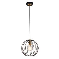 Подвесной светильник Escada 10176/1S E27*60W Black/Brass