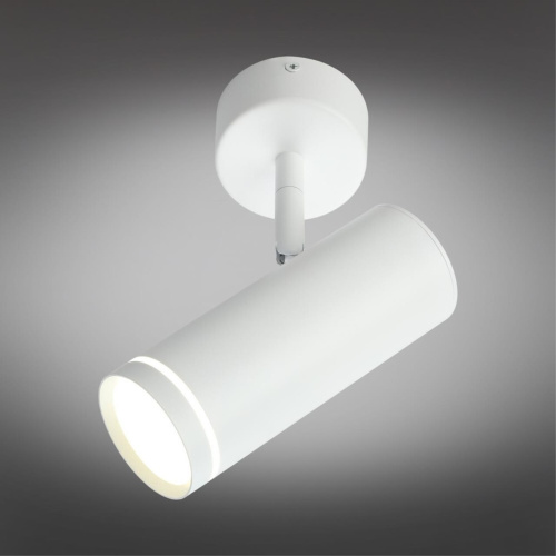 Светильник настенно-потолочный OML-102219-12 фото 3 Светильник настенно-потолочный OML-102219-12 фото 3