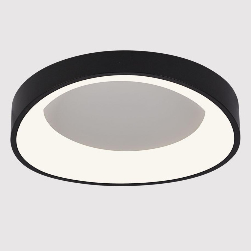 Потолочный светодиодный светильник Arte Lamp Sualocin A2698PL-48BK