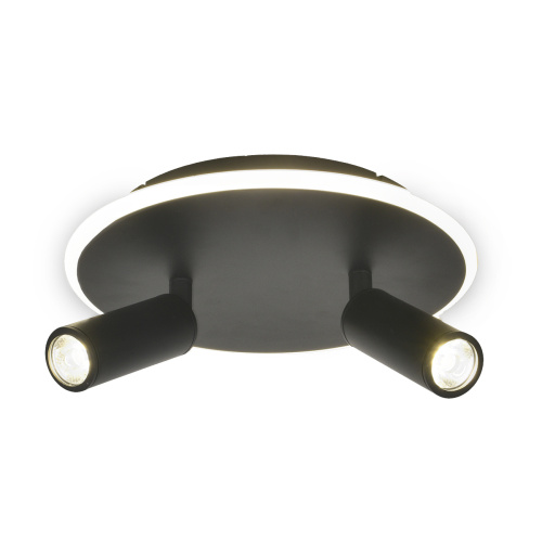 Настенно-потолочный свет Escada 20046SMA/02 LED 28W 4000K черный