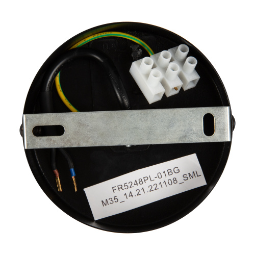 Подвесной светильник Freya FR5248PL-01BG фото 4