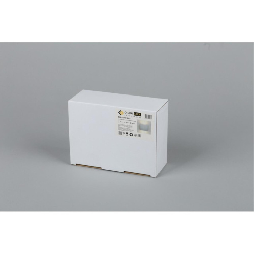 Светильник настенный (Бра) OML-21001-07 фото 3 Светильник настенный (Бра) OML-21001-07 фото 3