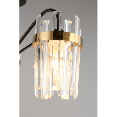 Люстра потолочная OML-67717-05 фото 6 Люстра потолочная OML-67717-05 фото 6