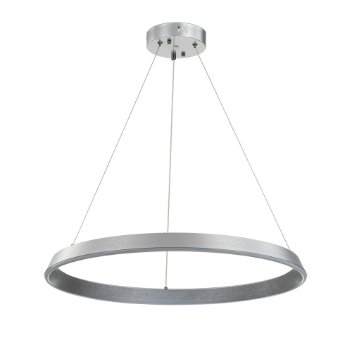 Подвесной светильник 14019/1P Silver фото 3