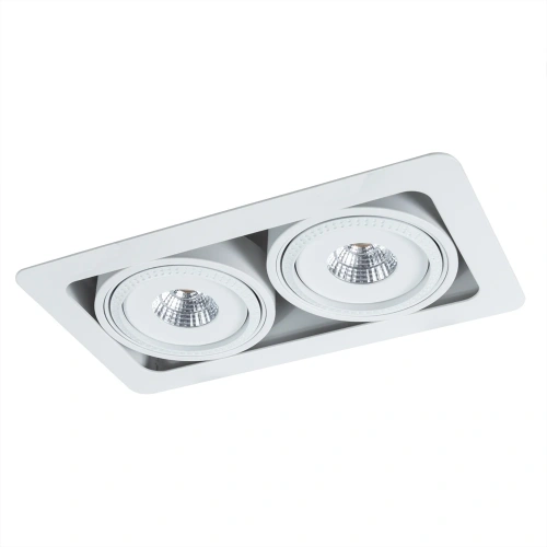 Карданный светильник Arte Lamp STUDIO A3007PL-2WH фото 3
