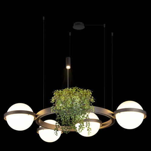 10121/4 Dark grey Подвесной светильник LOFT IT Jardin фото 3