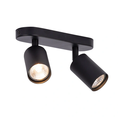 Спот Arte Lamp AQUARIUS A3226PL-2BK фото 2