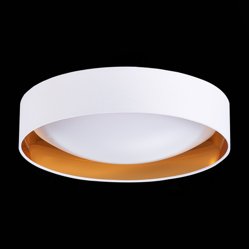 SLE201122-01 Светильник потолочный Белый, Золотистый/Белый LED 1*24W 4000K ORBIO фото 5